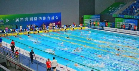 泳池新材料亮相赛场，名将领衔十四运会游泳测试赛启幕